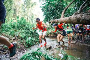 BIB: 
                            <button type="button" onclick="openModal(25516520)" class="btn btn-primary btn-sm float-right btn-popup" data-toggle="modal" data-target=".modal-high-quality">
                        <i class="fas fa-shopping-cart"></i> Add to Cart
                    </button>
                                            <button type="button" onclick="isThisMe(25516520, true)" class="btn btn-success btn-sm float-right btn-popup btn-isme hidden" data-toggle="tooltip" data-placement="bottom" title="นี่คือรูปของคุณใช่ไหม คลิกที่นี่เพื่อเอาเข้าอัลบั้ม">
                        <i class="fas fa-plus"></i> Add to album
                    </button>
                    <button type="button" onclick="isThisMe(25516520, false)" class="btn btn-warning btn-sm float-right btn-popup btn-isnotme hidden">
                        <i class="fas fa-ban"></i> Remove from album
                    </button>